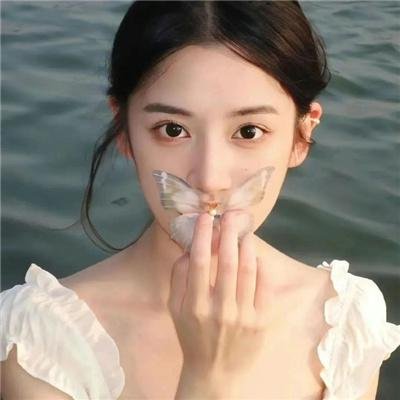 血脉之树